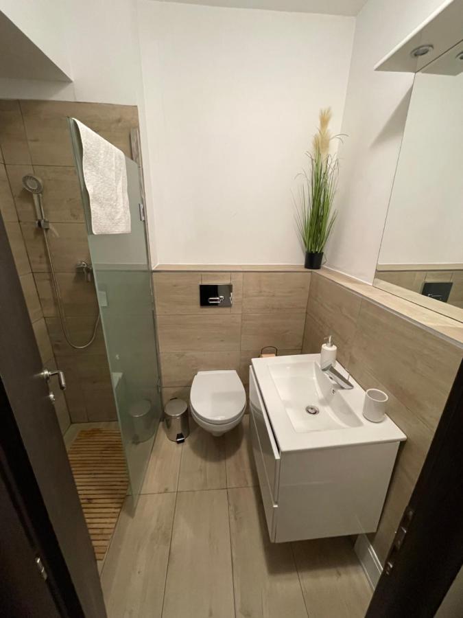 Savoya5 Old Citycenter Selfcheckin Workspacestudio Timisoara Bagian luar foto