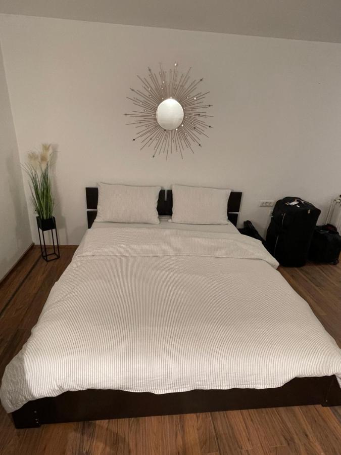 Savoya5 Old Citycenter Selfcheckin Workspacestudio Timisoara Bagian luar foto