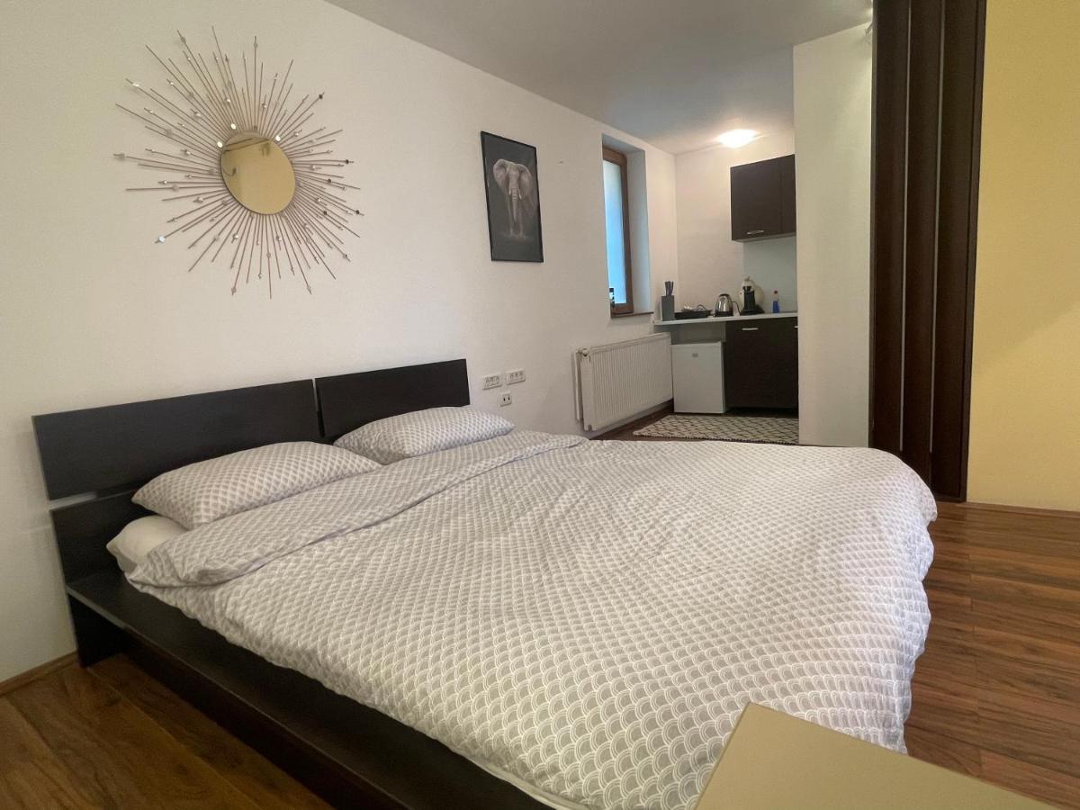 Savoya5 Old Citycenter Selfcheckin Workspacestudio Timisoara Bagian luar foto